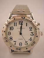 Quantum Fashion Talking/Analogue Watch - Mens