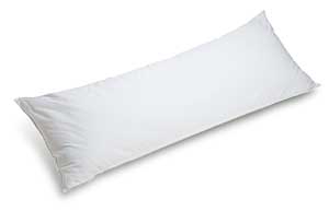 Body Pillow with Cover