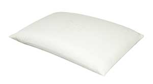 EcoLogic Oversized Traditional Pillow
