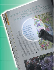 Rimless Magnifier with LED Light
