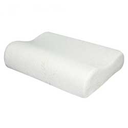 EcoLogic Oversized Contoured Pillow